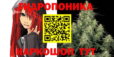 ECSTASY Абакан