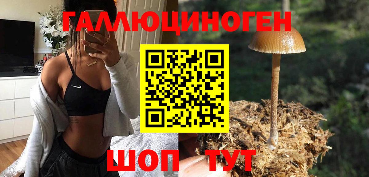 Сарапул  Галлюциногенные грибы Cubensis  Галлюциногенные грибы ЛСД  Вход с VPN 