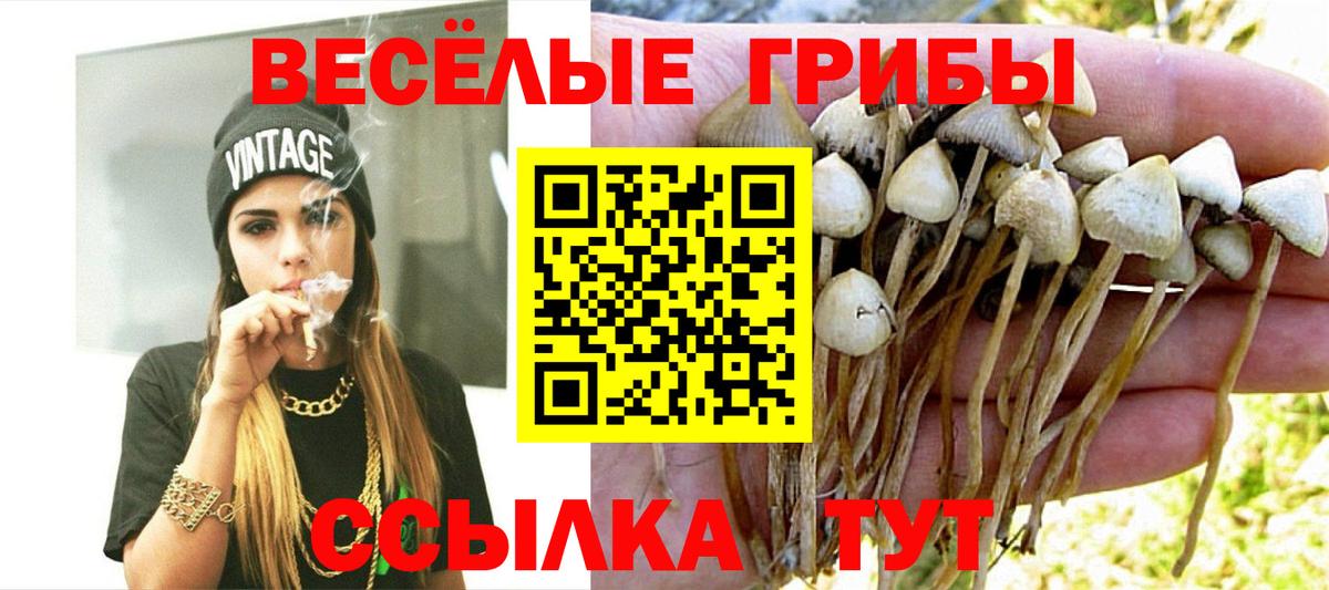 Псилоцибиновые грибы MAGIC MUSHROOMS Сарапул