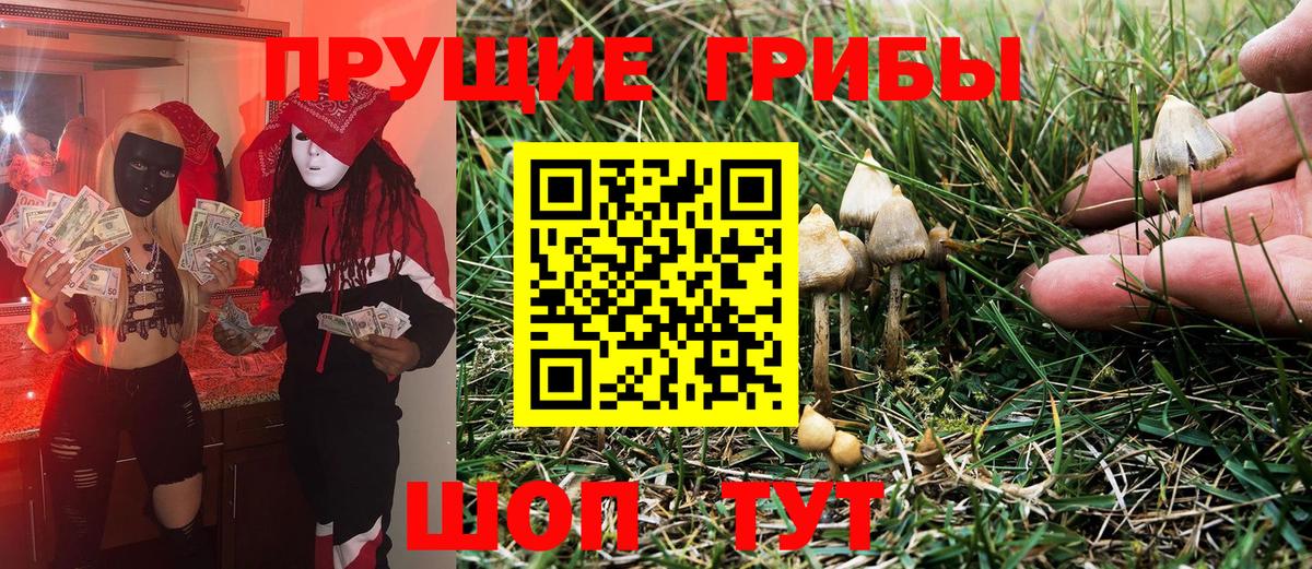 Галлюциногенные грибы Cubensis Сарапул